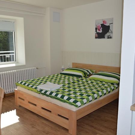 Penzion Havelka apartmány Železná Ruda Exterior foto